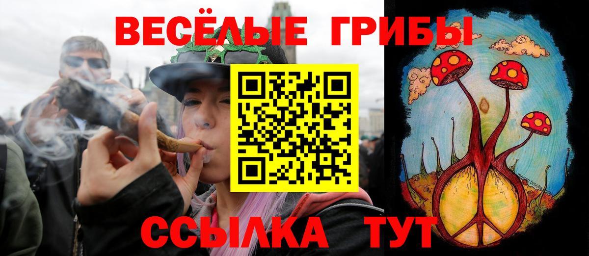 Ставрополь  Псилоцибиновые грибы Cubensis  Псилоцибиновые грибы прущие грибы  Вход с VPN 
