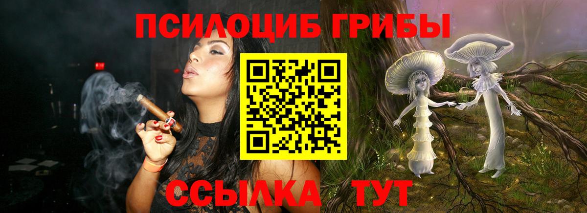 Галлюциногенные грибы MAGIC MUSHROOMS Ставрополь
